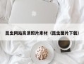 瓦房店昆虫网站高清照片素材（昆虫图片下载）